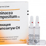 small-exinaczeya-kompozitum-sn-r-r-dlya-v/m-vv-gomeopat-2,2ml-n5-amp-pk-0